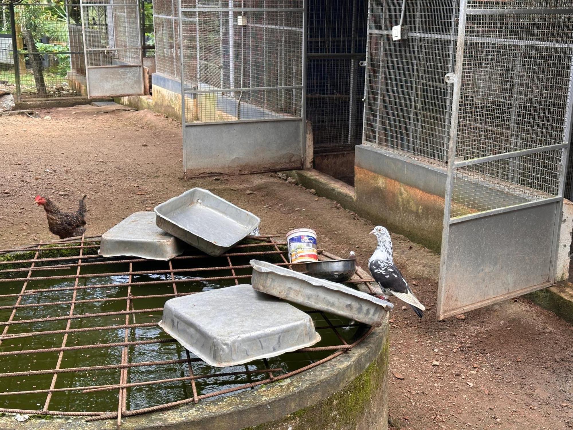 Kattil Farm Stay Varkala トリバンドラム エクステリア 写真
