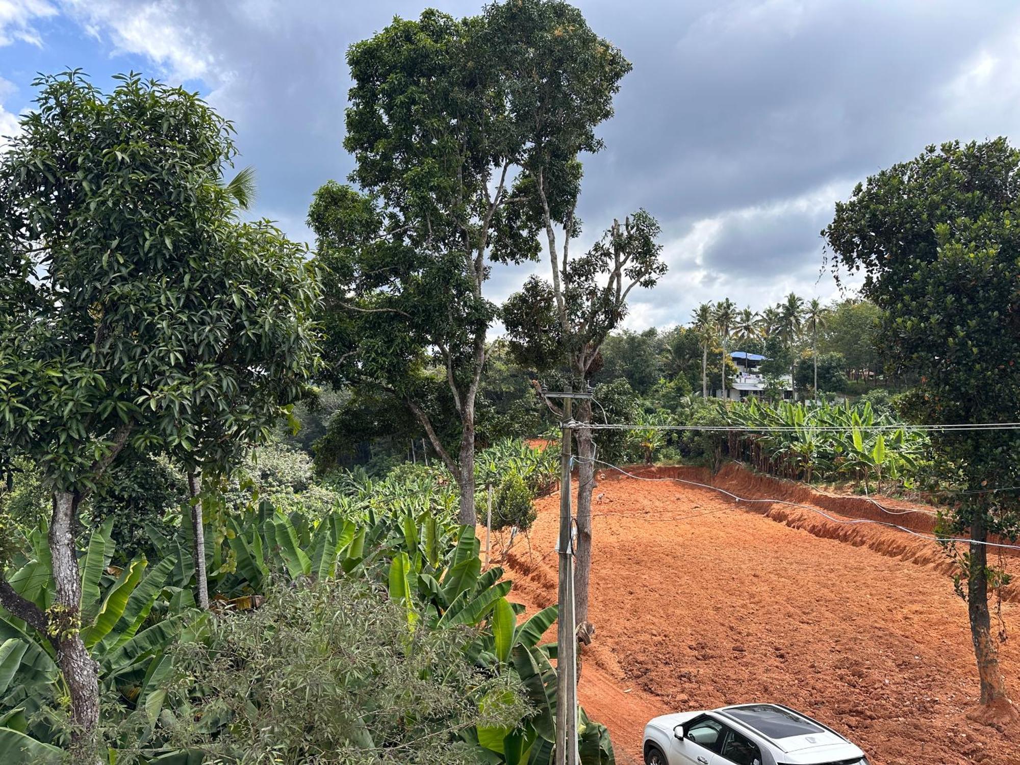 Kattil Farm Stay Varkala トリバンドラム エクステリア 写真
