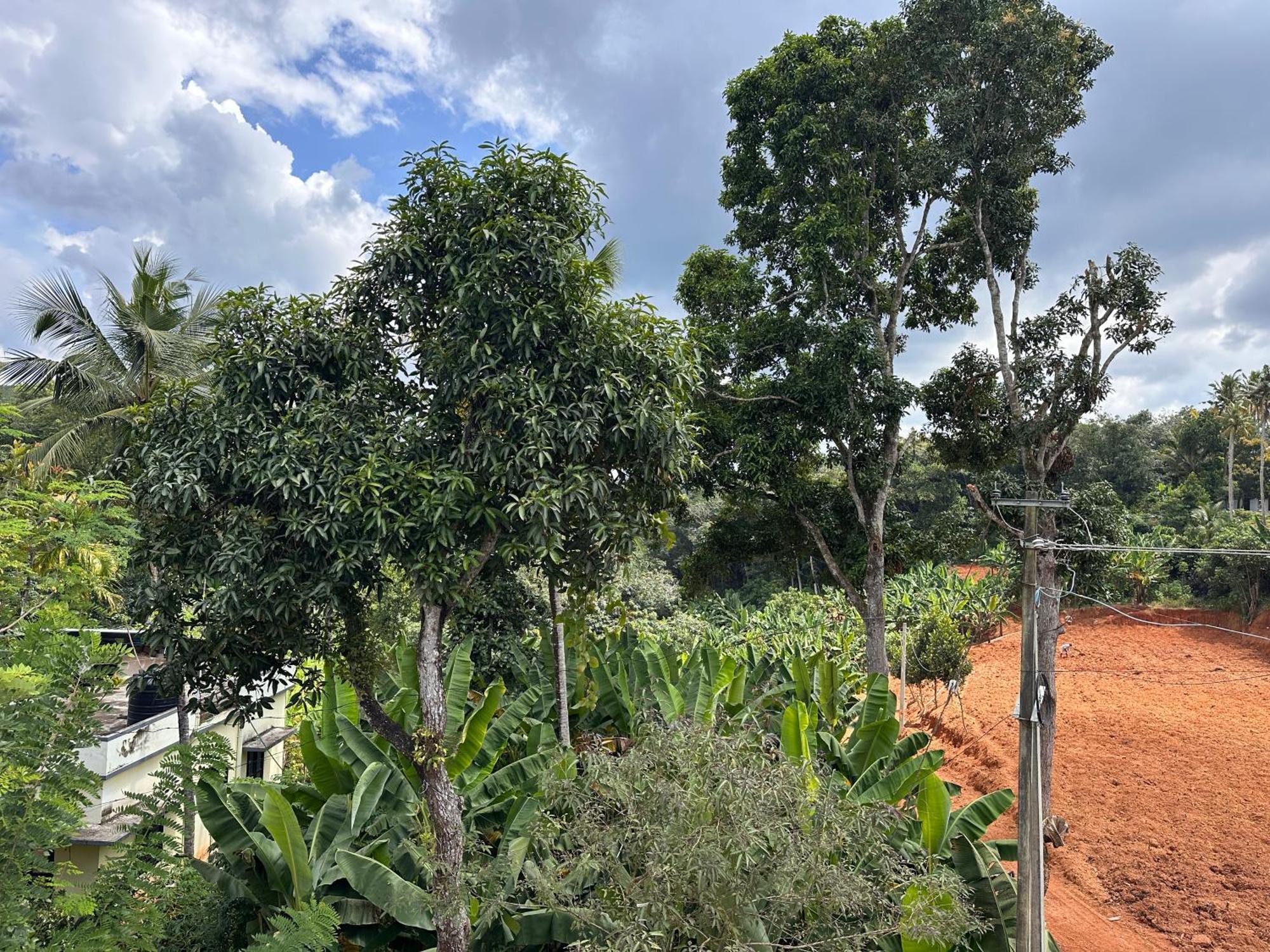 Kattil Farm Stay Varkala トリバンドラム エクステリア 写真