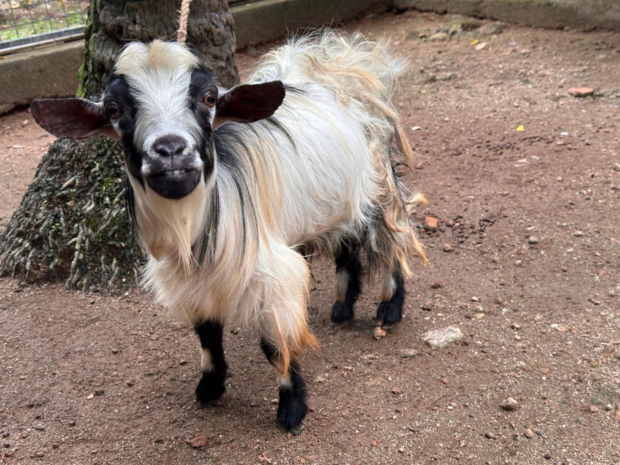 Kattil Farm Stay Varkala トリバンドラム エクステリア 写真
